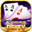 rummy card order logo